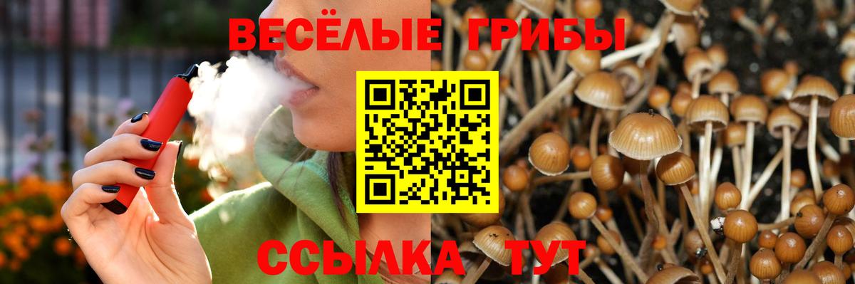 Галлюциногенные грибы Psilocybine cubensis  Вход с VPN  Великие Луки  Псилоцибиновые грибы MAGIC MUSHROOMS 